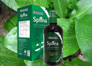 Chlorophylle et Savon Splina (Edmark)