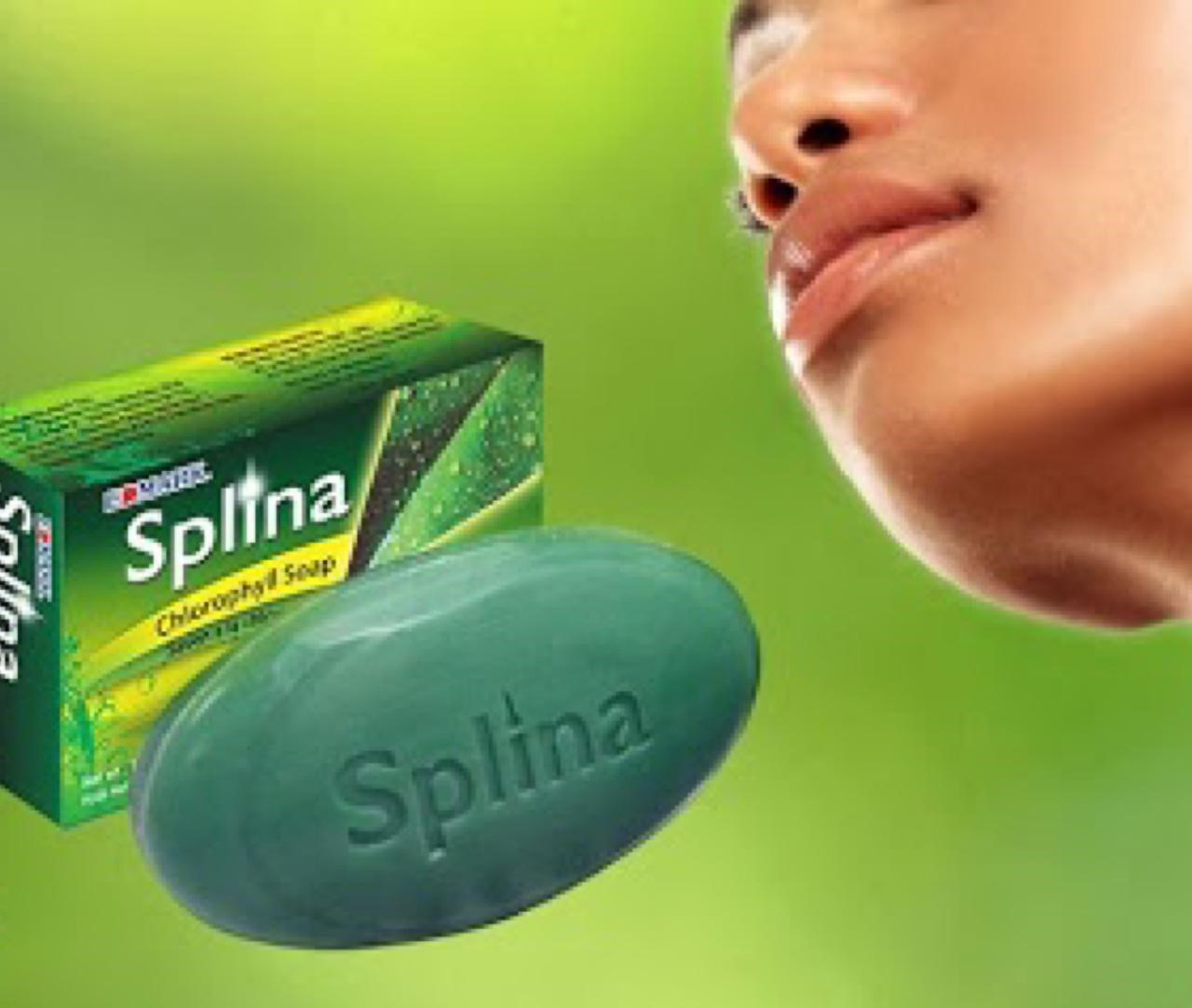 Chlorophylle et Savon Splina (Edmark)