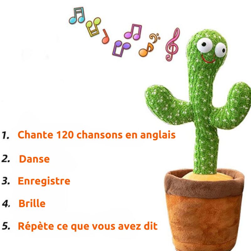 TuniCacti : Cactus Dansant (CJ) - HARMONIA STYLE
