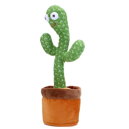 TuniCacti : Cactus Dansant (CJ) - HARMONIA STYLE